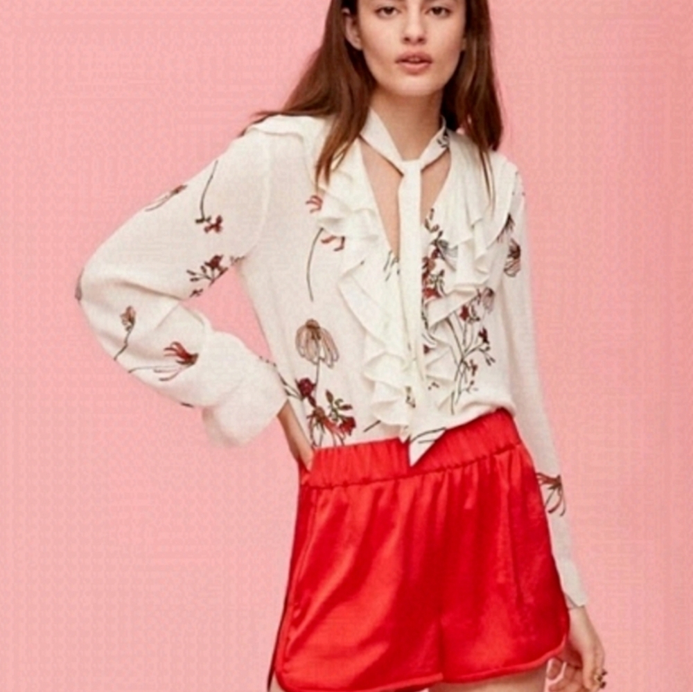 Aritzia Little Moon Gazania Blouse